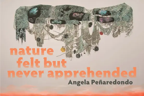Natura simțită dar niciodată înțeleasă - Nature Felt But Never Apprehended