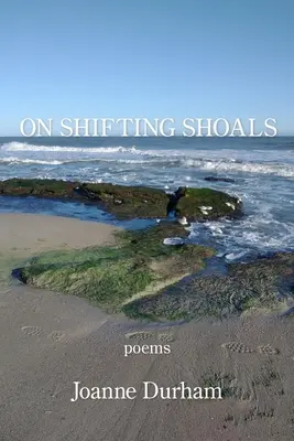 Despre Shifting Shoals - On Shifting Shoals