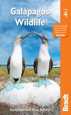 Viața sălbatică din Galapagos - Galapagos Wildlife