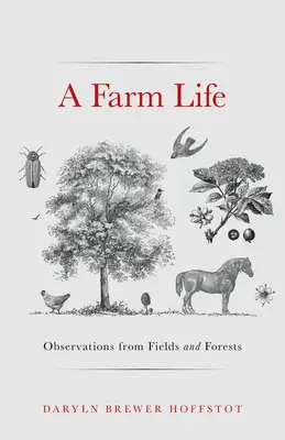 O viață la fermă: Observații din câmpuri și păduri - A Farm Life: Observations from Fields and Forests