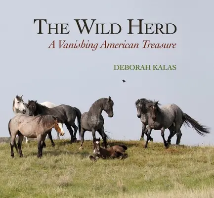 The Wild Herd: O comoară americană pe cale de dispariție - The Wild Herd: A Vanishing American Treasure