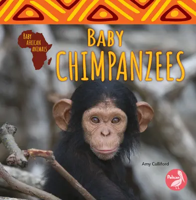 Pui de cimpanzeu - Baby Chimpanzees