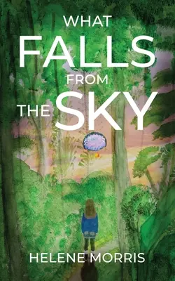 Ce cade din cer - What Falls From the Sky