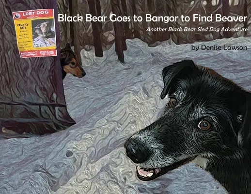 Ursul Negru merge la Bangor pentru a-l găsi pe Castor: O altă aventură cu câini de sanie a Ursului Negru - Black Bear Goes to Bangor to Find Beaver: Another Black Bear Sled Dog Adventure
