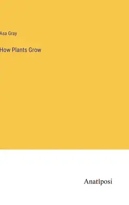 Cum cresc plantele - How Plants Grow