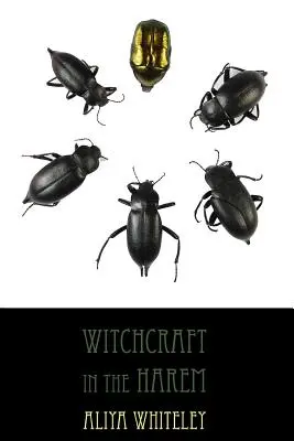 Vrăjitorie în harem - Witchcraft in the Harem