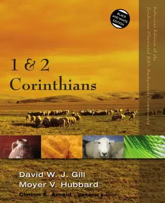 1 și 2 Corinteni - 1 and 2 Corinthians