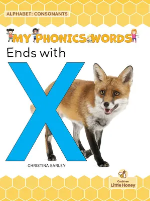 Se termină cu X - Ends with X