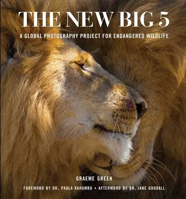 The New Big 5: Un proiect fotografic global pentru speciile pe cale de dispariție - The New Big 5: A Global Photography Project for Endangered Species