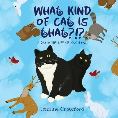 What Kind of Cat is That?!?: O zi din viața lui Jojo Bynx - What Kind of Cat is That?!?: A Day in the Life of Jojo Bynx
