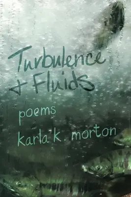 Turbulență și fluide: poezii - Turbulence & Fluids: poems