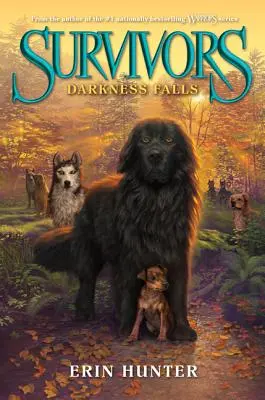 Întunericul cade - Darkness Falls