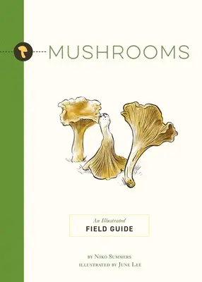 Ciuperci: Un ghid de teren ilustrat - Mushrooms: An Illustrated Field Guide