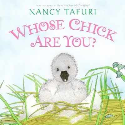 Al cui pui ești? - Whose Chick Are You?