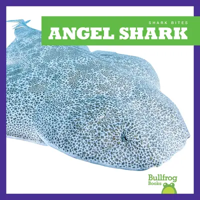Rechinul Înger - Angel Shark