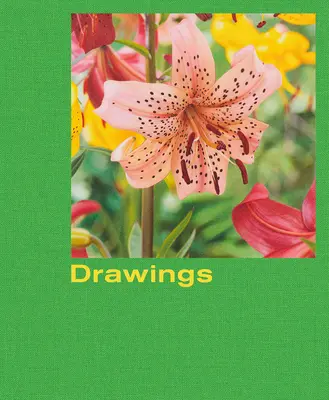 Mathew Cerletty: Desene - Mathew Cerletty: Drawings
