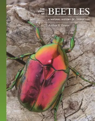 The Lives of Beetles: O istorie naturală a coleopterelor - The Lives of Beetles: A Natural History of Coleoptera