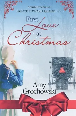 Prima dragoste de Crăciun: Amish Dreams on Prince Edward Island, Cartea 2 - First Love at Christmas: Amish Dreams on Prince Edward Island, Book 2