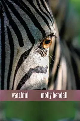 Vigilent - Watchful