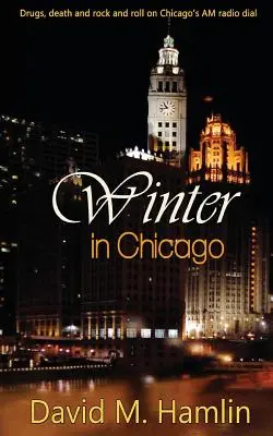 Iarna în Chicago - Winter in Chicago