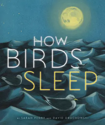 Cum dorm păsările - How Birds Sleep