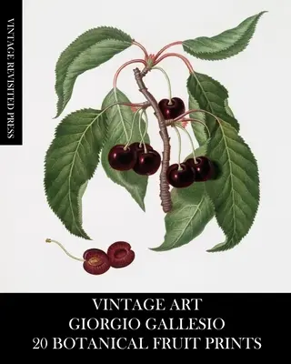 Vintage Art: Giorgio Gallesio: 20 printuri botanice cu fructe - Vintage Art: Giorgio Gallesio 20 Botanical Fruit Prints