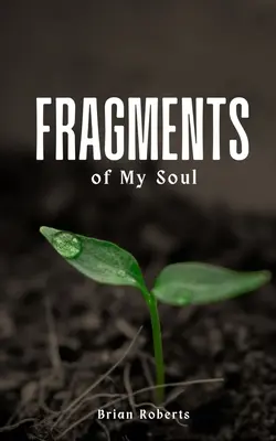 Fragmente din sufletul meu - Fragments of My Soul