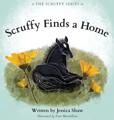 Scruffy își găsește o casă - Scruffy Finds a Home