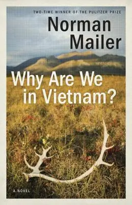 De ce suntem în Vietnam? - Why Are We in Vietnam?