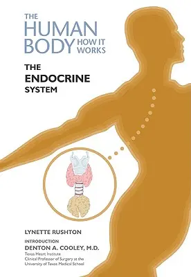 Sistemul endocrin - The Endocrine System