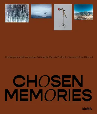 Memorii alese: Arta latino-americană contemporană din darul Patricia Phelps de Cisneros și dincolo de acesta - Chosen Memories: Contemporary Latin American Art from the Patricia Phelps de Cisneros Gift and Beyond