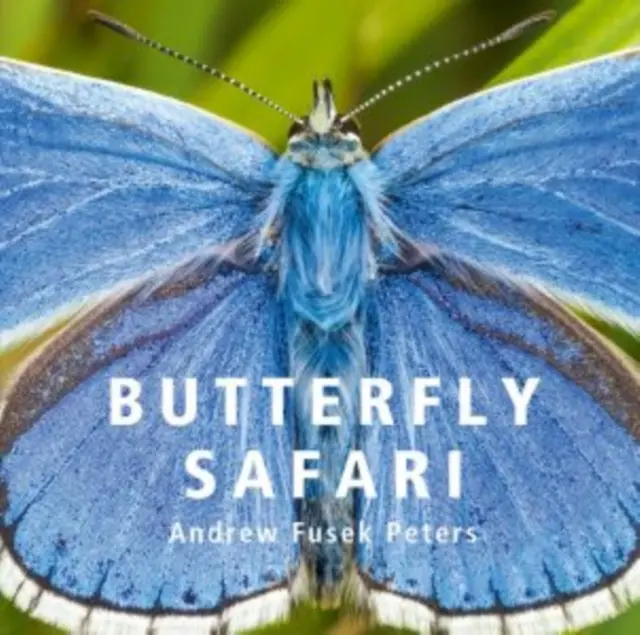 Safari cu fluturi - Butterfly Safari