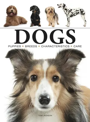 Câini - Dogs