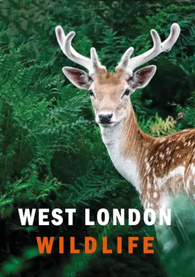 Viața sălbatică din vestul Londrei - West London Wildlife