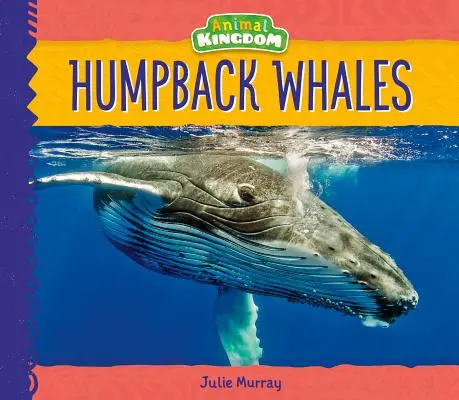 Balene cu cocoașă - Humpback Whales