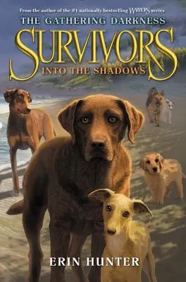Supraviețuitori: Întunericul care se adună #3: În umbră - Survivors: The Gathering Darkness #3: Into the Shadows