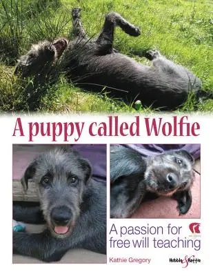 Un cățeluș numit Wolfie: O pasiune pentru învățătura liberului arbitru - A Puppy Called Wolfie: A Passion for Free-Will Teaching