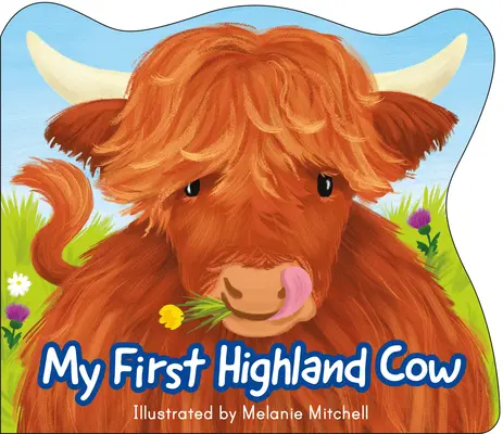 Prima mea vacă din Highland - My First Highland Cow