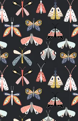Entomologie (Blank Lined Journal) - Entomology (Blank Lined Journal)
