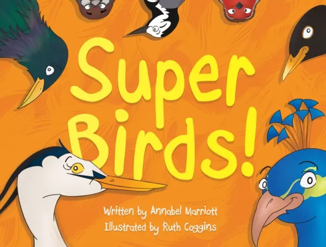 Super păsări! - Super Birds!