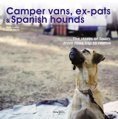 Camper Vans, Ex-Patriați și câini spanioli: Rătăciții din Spania: De la călătoria pe șosea la salvare - Camper Vans, Ex-Pats and Spanish Hounds: The Strays of Spain: From Road Trip to Rescue