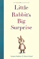 Marea surpriză a micului iepuraș - Little Rabbit's Big Surprise