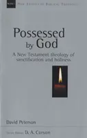 Posedat de Dumnezeu - Teologia Noului Testament a sfințirii și sfințeniei (Peterson David (Autor)) - Possessed by God - New Testament Theology Of Sanctification And Holiness (Peterson David (Author))