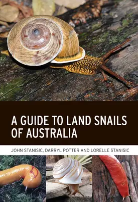 Un ghid al melcilor de uscat din Australia - A Guide to Land Snails of Australia