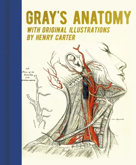 Anatomia lui Gray - cu ilustrații originale de Henry Carter - Gray's Anatomy - With Original Illustrations by Henry Carter