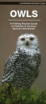 Bufnițe - Un ghid de buzunar pliabil pentru speciile familiare din întreaga lume - Owls - A Folding Pocket Guide to Familiar Species Worldwide