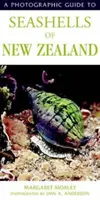 Ghid fotografic al scoicilor de mare din Noua Zeelandă - Photographic Guide To Seashells Of New Zealand