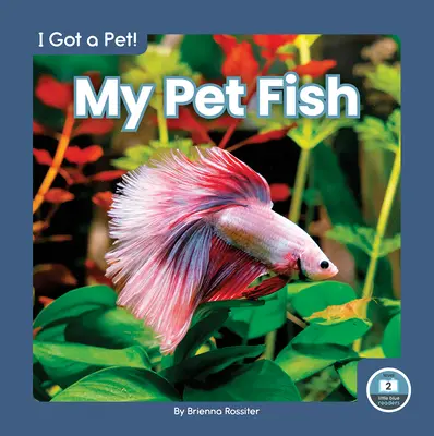 Peștele meu de companie - My Pet Fish