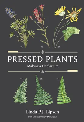 Plante presate: Realizarea unui ierbar - Pressed Plants: Making a Herbarium
