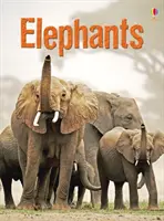 Elefanți - Elephants